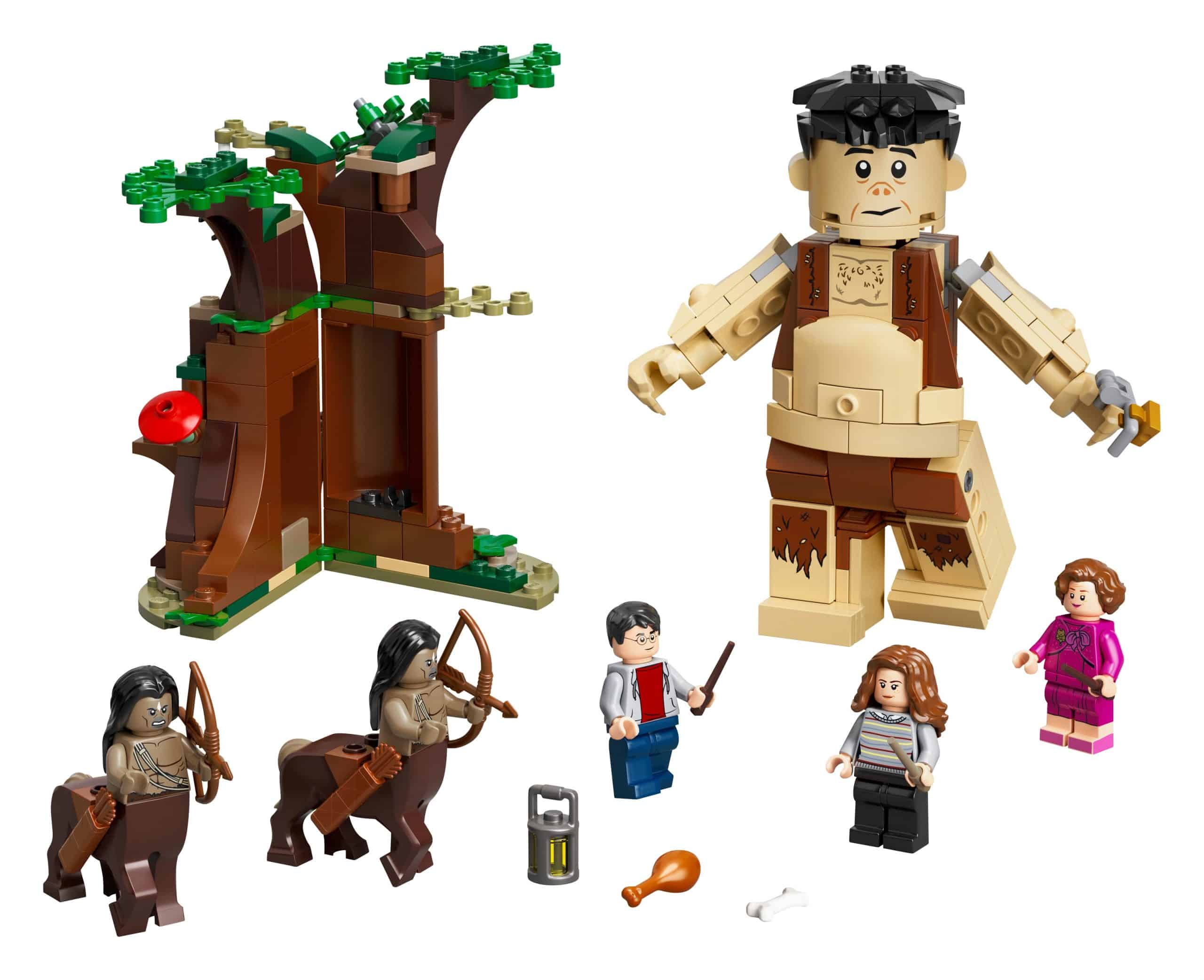 Lego Het Verboden Bos Ombers Ontmoeting Met Groemp 75967 Scaled