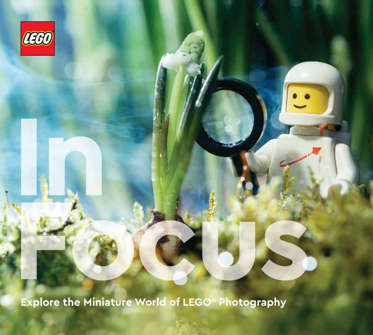 Lego In Focus 5007642