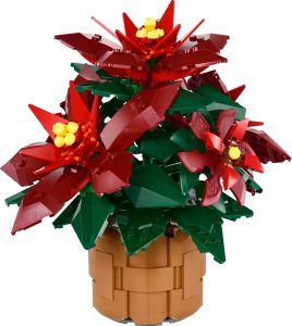 Poinsettia 10370